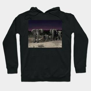 Zimbabwe, Iganyana camp Hoodie